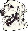 doggie16.gif