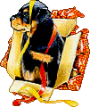 doggie206rotty.gif