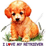 ilovemyretriever.jpg